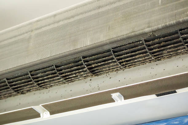 Air Duct Mold Removal in Marysville, OH